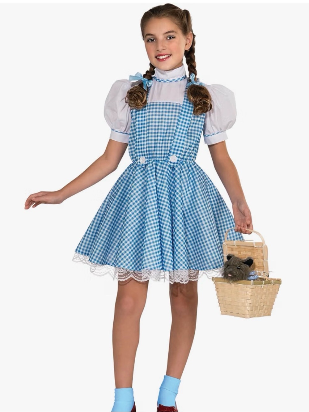 The Wizard of Oz Dorothy Blue Gingham Pinafore Rubies Costume